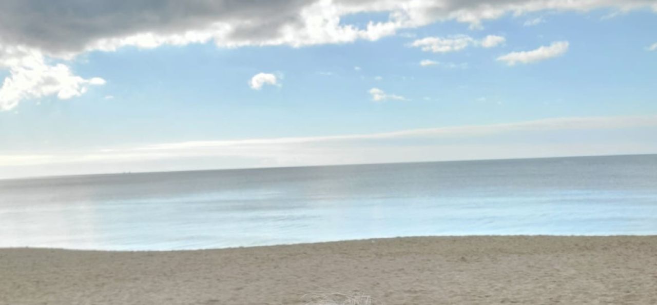 Gemeinsam die Insel entdecken