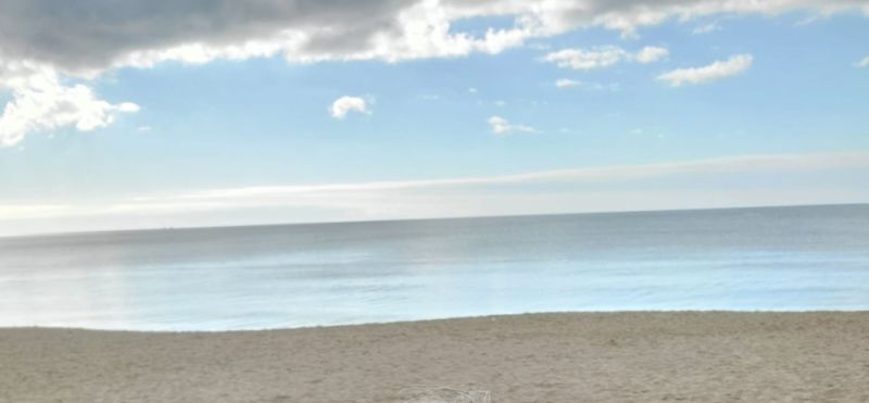 Gemeinsam die Insel entdecken