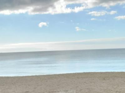 Gemeinsam die Insel entdecken