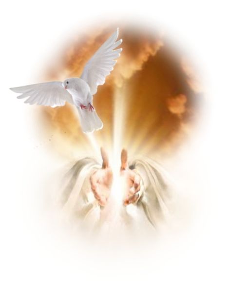 Growing together – Heiler is looking for partners for cooperation