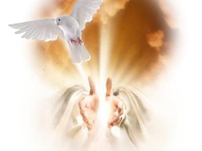 Gemeinsam wachsen – Heiler sucht Partner für Zusammenarbeit