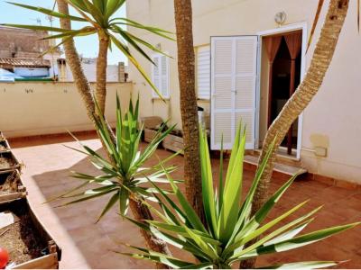 Gemütliche Wohnung im romantischem Fischerdorf von Porto Cristo