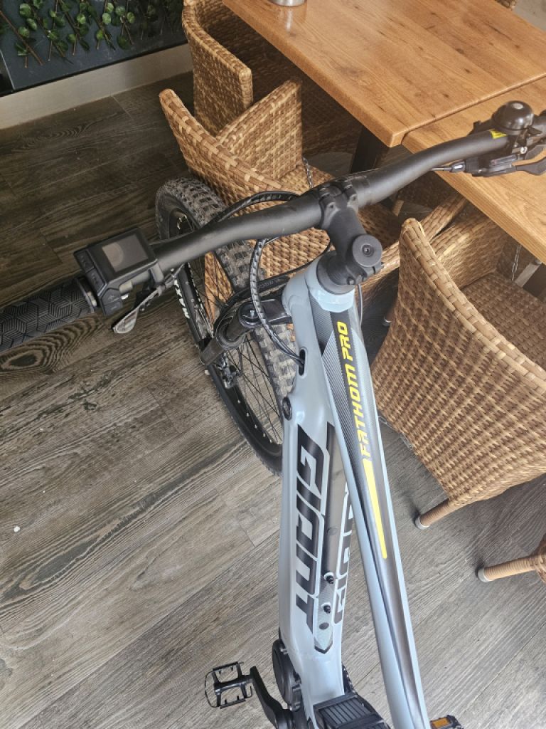 GIANT Fathom E+Pro 29"/625 Wh