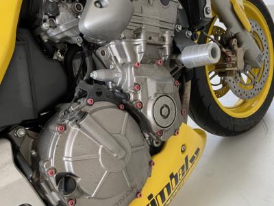 Gimbel Hornet Honda 600