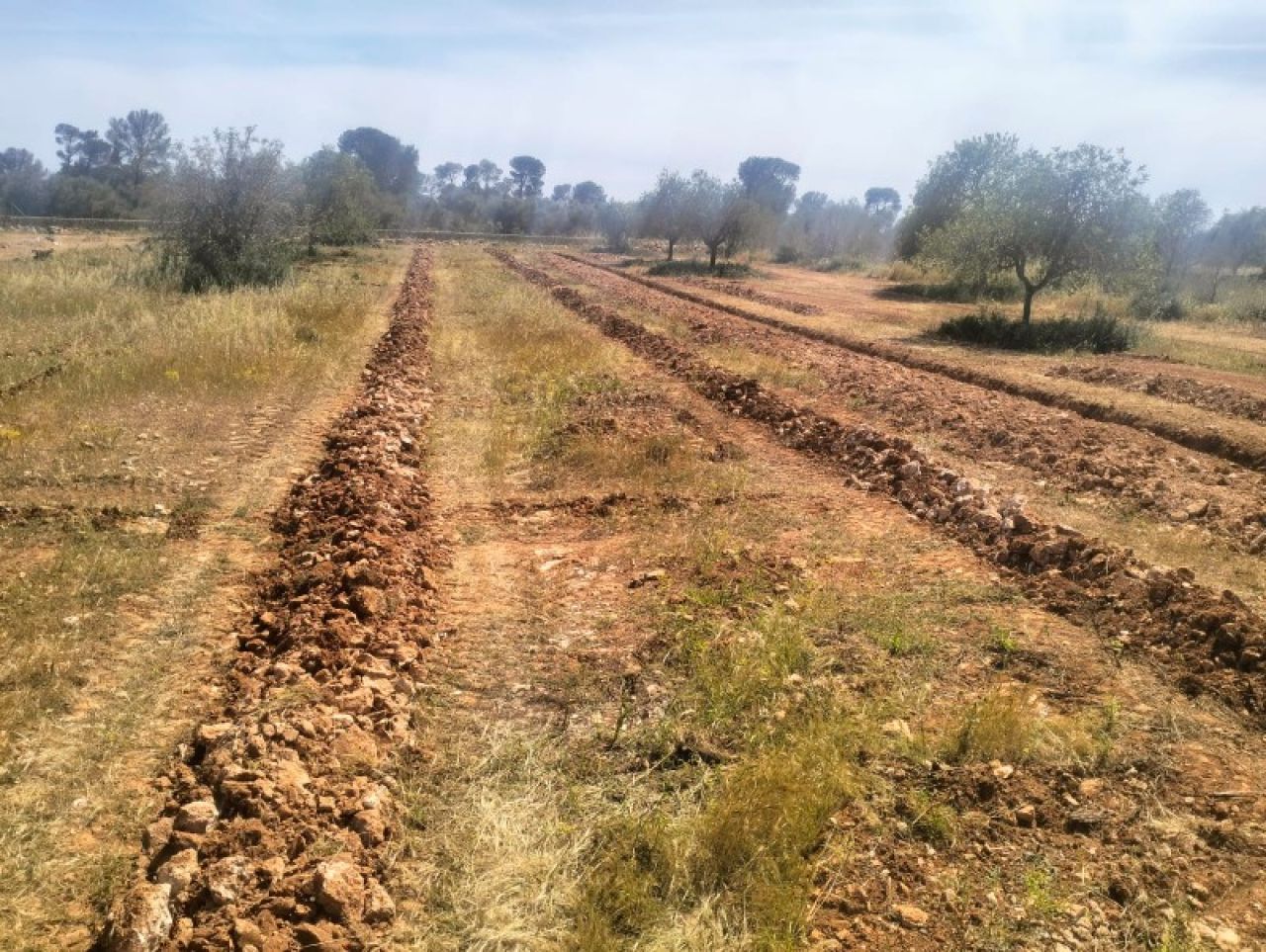 Gräben für Oliven-, Wein-, Obst-, Johannisbrot- und Mandelplantagen usw.