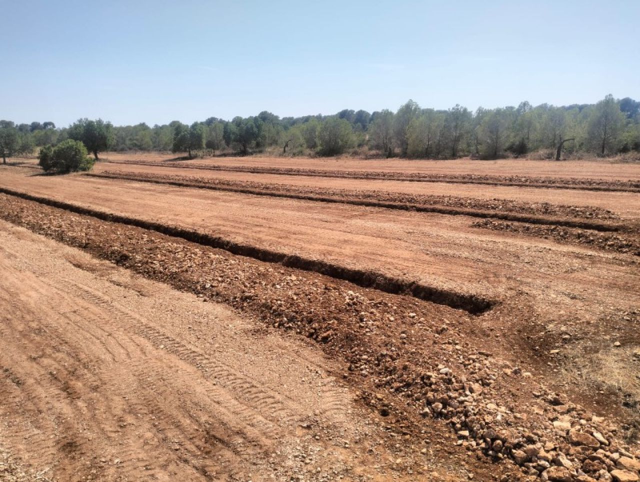 Gräben für Oliven-, Wein-, Obst-, Johannisbrot- und Mandelplantagen usw.