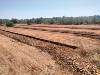 Gräben für Oliven-, Wein-, Obst-, Johannisbrot- und Mandelplantagen usw.