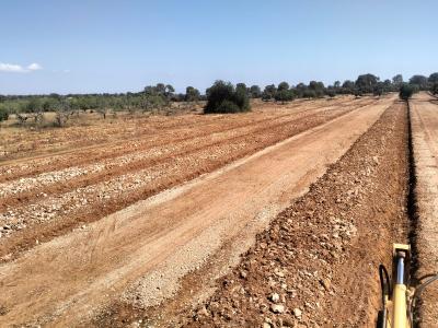 Gräben für Oliven-, Wein-, Obst-, Johannisbrot- und Mandelplantagen usw.