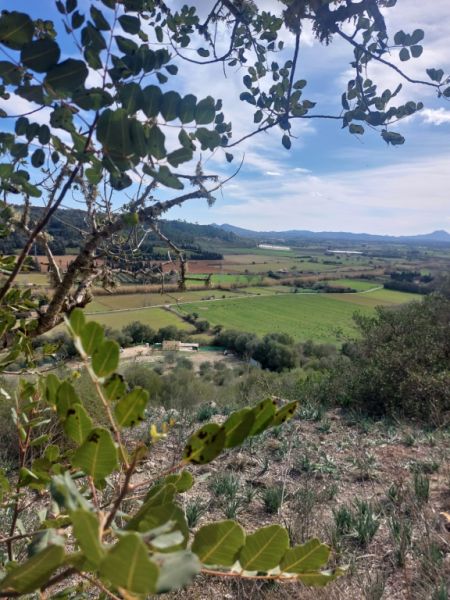 Large rustic estate with house in Petra