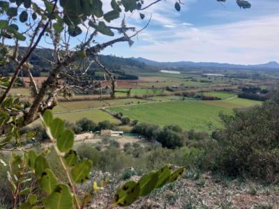 Large rustic estate with house in Petra