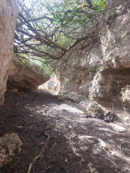 Large rustic estate with house in Petra