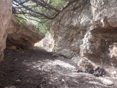 Large rustic estate with house in Petra