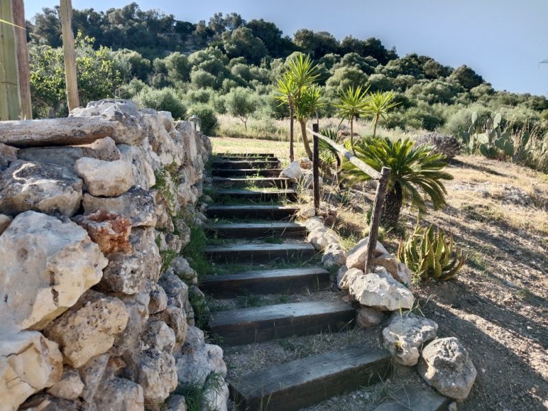 Large rustic estate with house in Petra