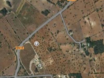 Grosses Grundstück zwischen Cas Concos und Santanyi --- T 22 CM