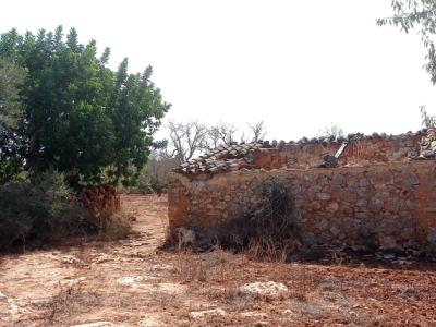 Grosses Grundstück zwischen Cas Concos und Santanyi --- T 22 CM