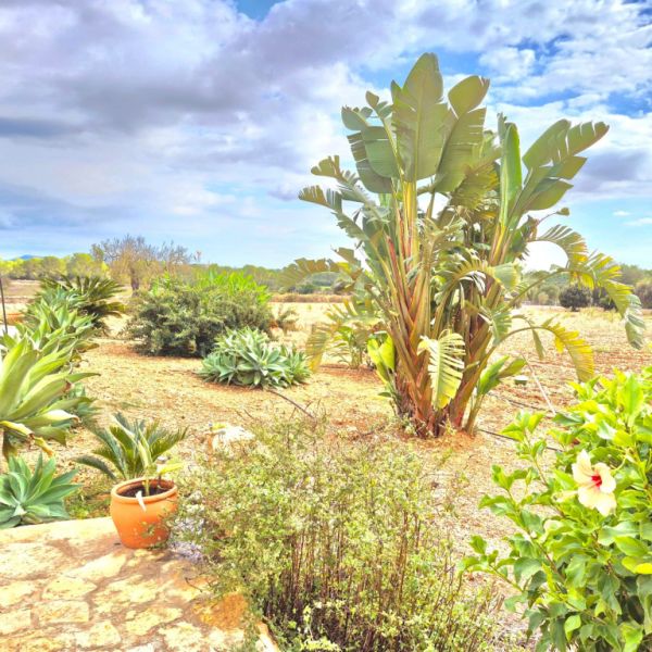 Großes Haus mit Pool und Garage in der Nähe von Porreres und Campos zu vermieten