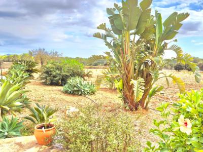 Großes Haus mit Pool und Garage in der Nähe von Porreres und Campos zu vermieten