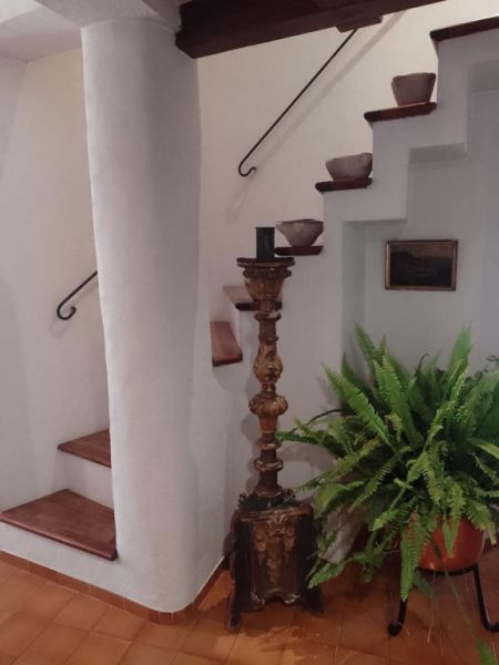 Grosses Stadthaus mit Terrasse Pollensa Altstadt