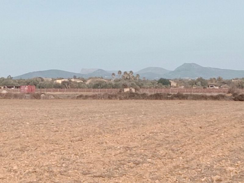 Grundstück in Son Valls mit genehmigtem Basisprojekt