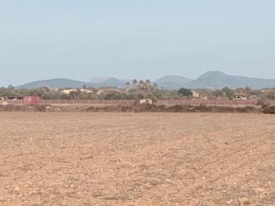 Grundstück in Son Valls mit genehmigtem Basisprojekt