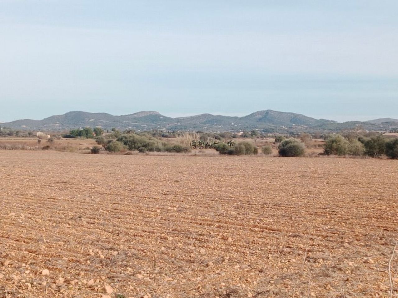 Grundstück in Son Valls mit genehmigtem Basisprojekt