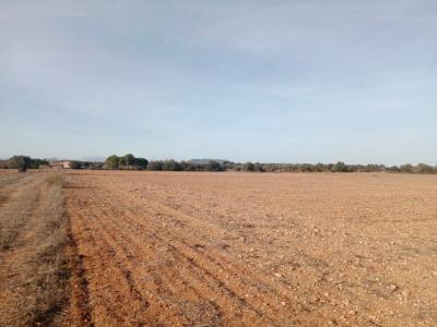 Grundstück in Son Valls mit genehmigtem Basisprojekt