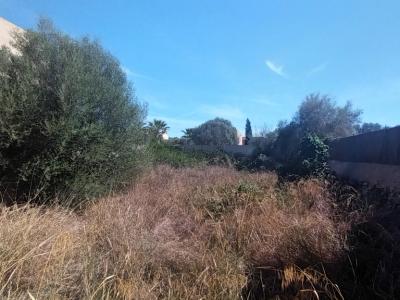 Grundstück in zentraler Lage mit einem grossem Lagerraum in Es LLombards --- S 13