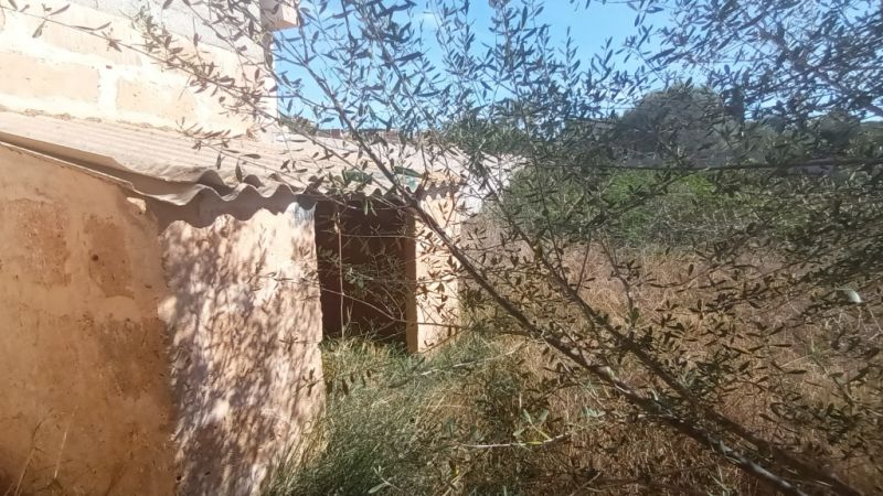 Plot in a central location with a large storage room in Es LLombards --- S 13