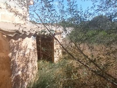 Plot in a central location with a large storage room in Es LLombards --- S 13