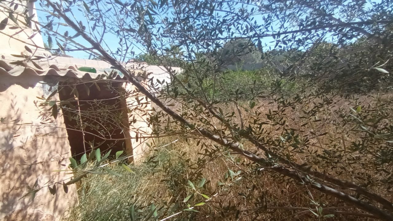 Plot in a central location with a large storage room in Es LLombards --- S 13