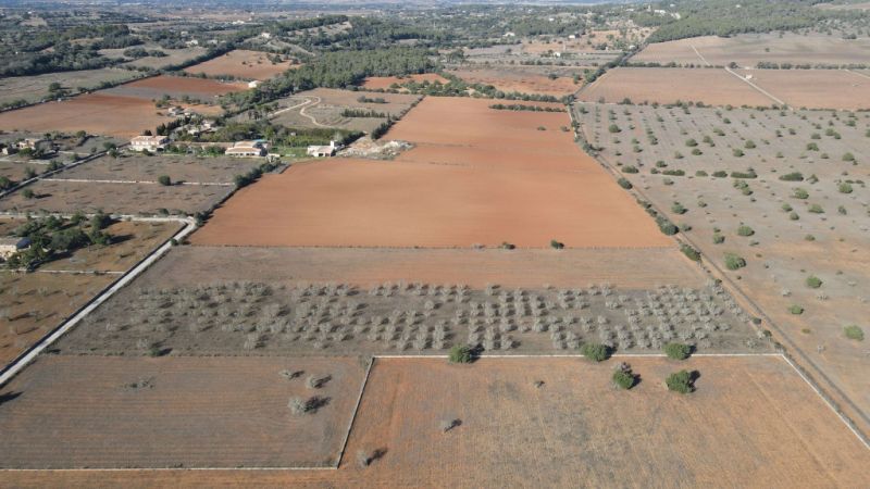Land for sale in Disseminatado Primera Volta