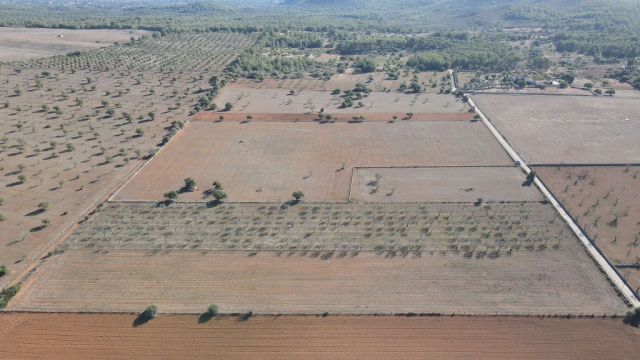 Land for sale in Disseminatado Primera Volta