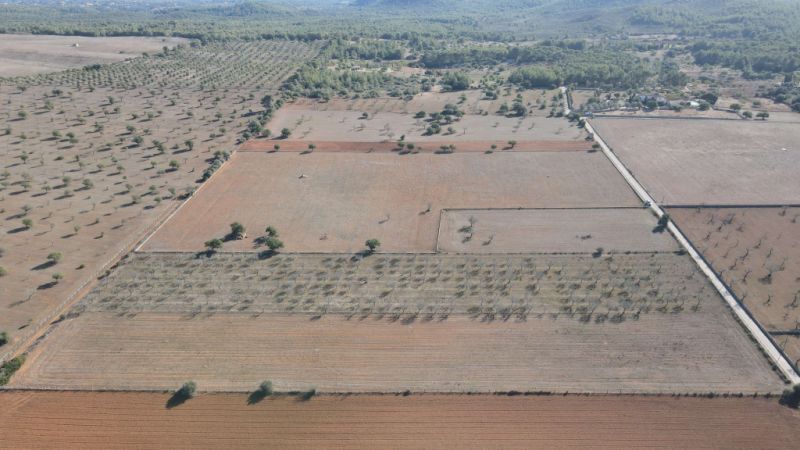 Land for sale in Disseminatado Primera Volta