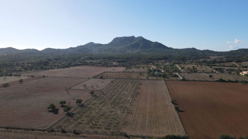 Land for sale in Disseminatado Primera Volta