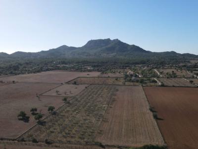 Land for sale in Disseminatado Primera Volta