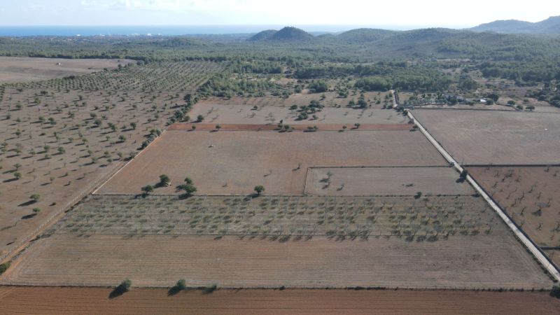 Land for sale in Disseminatado Primera Volta