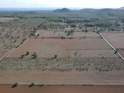 Land for sale in Disseminatado Primera Volta