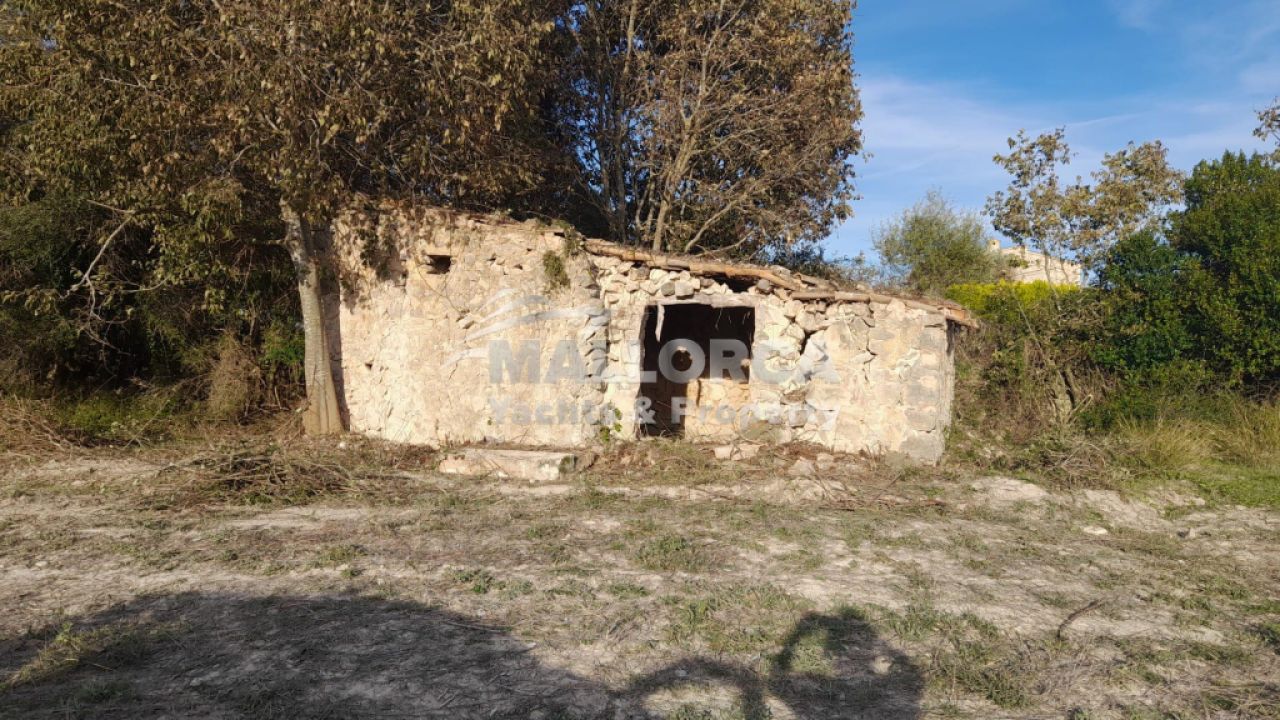 Terrenos en venta en Alcudia