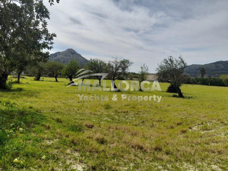 Terrenos en venta en Alcudia