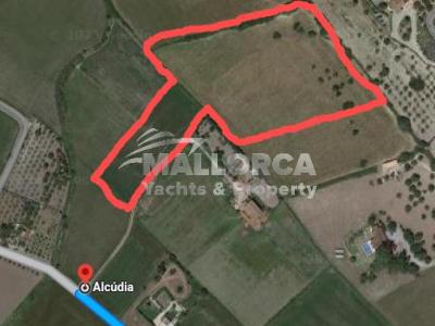 Terrenos en venta en Alcudia