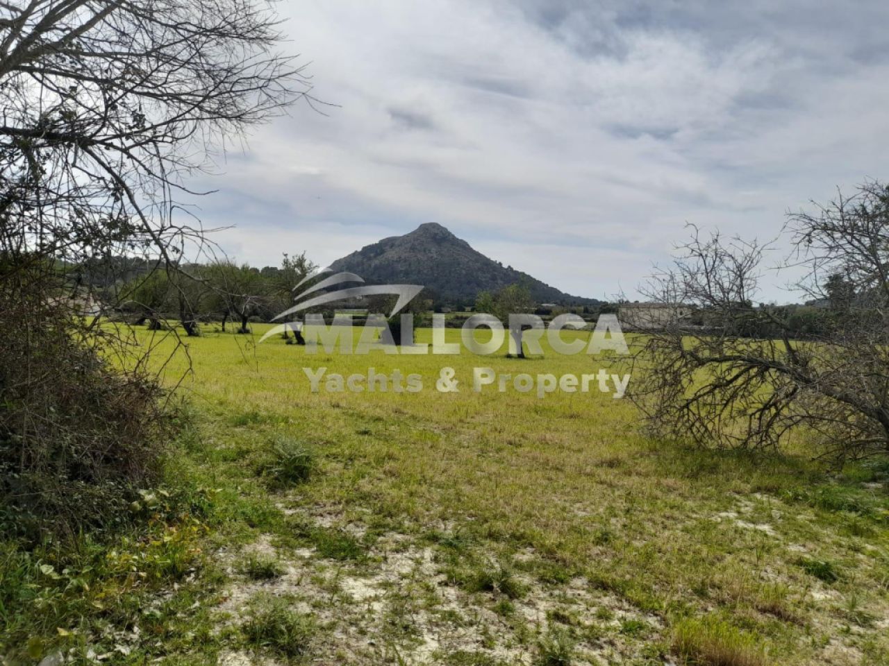 Terrenos en venta en Alcudia