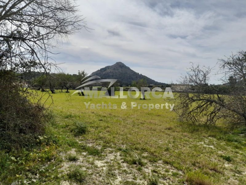 Terrenos en venta en Alcudia