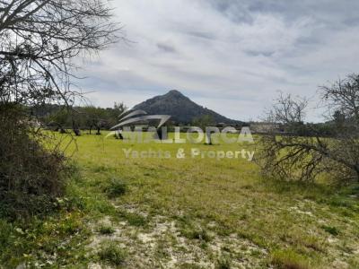 Terrenos en venta en Alcudia