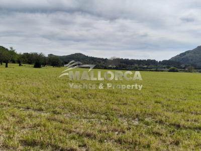 Terrenos en venta en Alcudia