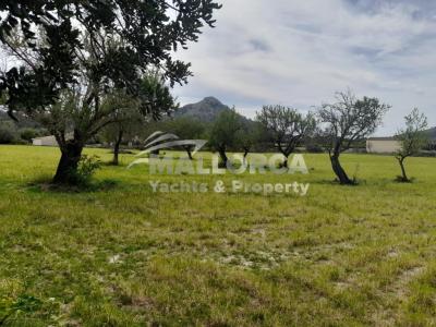 Terrenos en venta en Alcudia