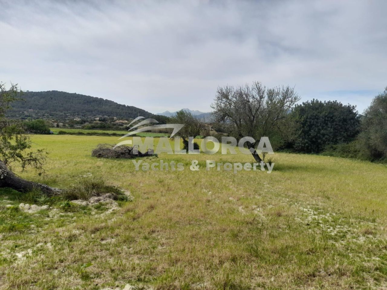 Terrenos en venta en Alcudia