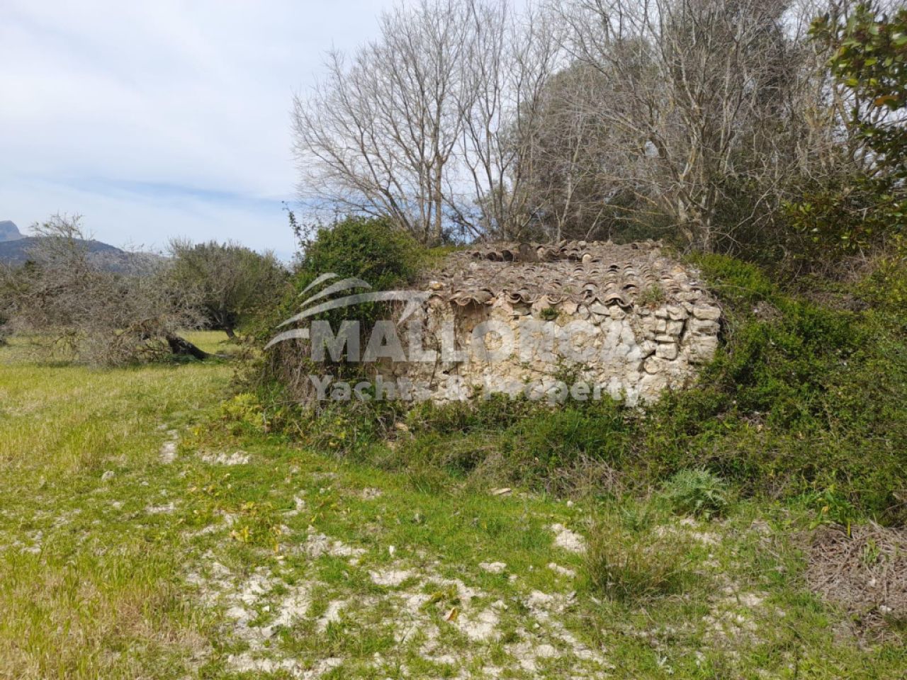 Terrenos en venta en Alcudia
