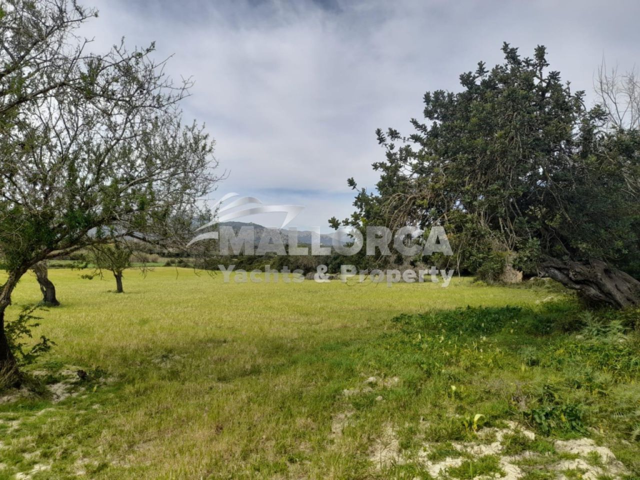 Terrenos en venta en Alcudia