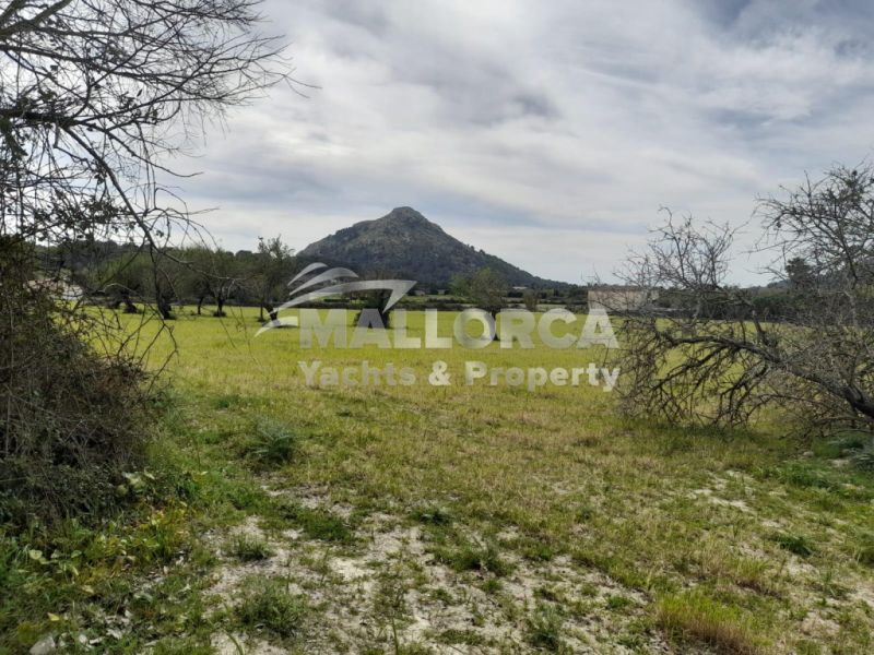 Terrenos en venta en Alcudia