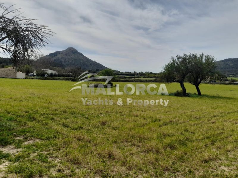 Terrenos en venta en Alcudia
